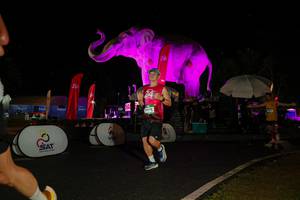 BIB: 
                            <button type="button" onclick="openModal(26535196)" class="btn btn-primary btn-sm float-right btn-popup" data-toggle="modal" data-target=".modal-high-quality">
                        <i class="fas fa-shopping-cart"></i> Add to Cart
                    </button>
                                            <button type="button" onclick="isThisMe(26535196, true)" class="btn btn-success btn-sm float-right btn-popup btn-isme hidden" data-toggle="tooltip" data-placement="bottom" title="นี่คือรูปของคุณใช่ไหม คลิกที่นี่เพื่อเอาเข้าอัลบั้ม">
                        <i class="fas fa-plus"></i> Add to album
                    </button>
                    <button type="button" onclick="isThisMe(26535196, false)" class="btn btn-warning btn-sm float-right btn-popup btn-isnotme hidden">
                        <i class="fas fa-ban"></i> Remove from album
                    </button>